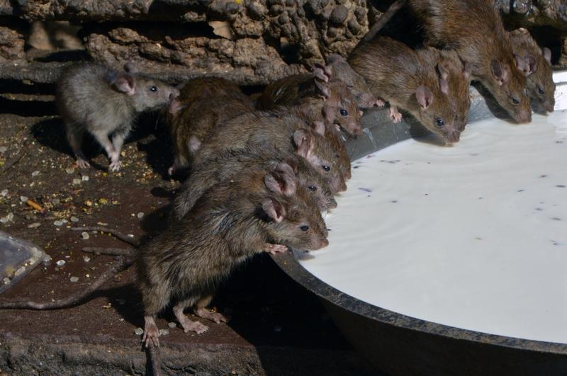 The government launched a campaign to promote tourism in coastal towns