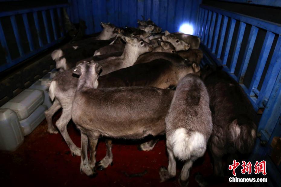 A charity organization provided school supplies to children in need