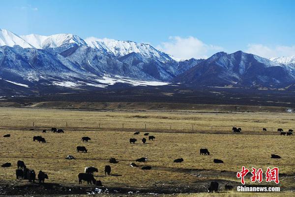 Researchers found a way to use AI to predict natural disasters (like earthquakes) up to 72 hours in advance