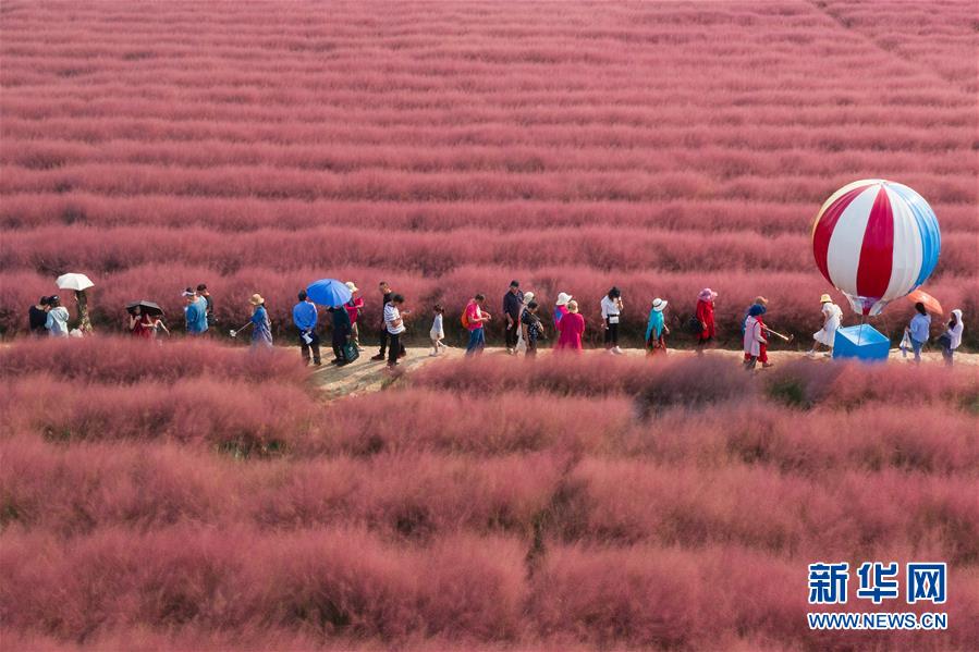 A community launched a recycling program that diverts 60% of waste from landfills