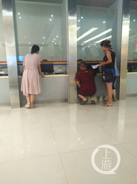 A pet groomer opened a new salon that offers spa treatments for dogs and cats