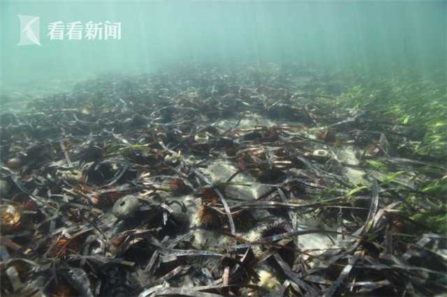 A restaurant started offering 