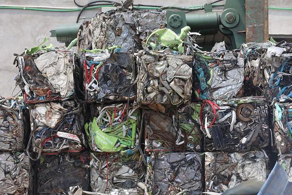 Scientists successfully cloned a rare animal to help preserve the species