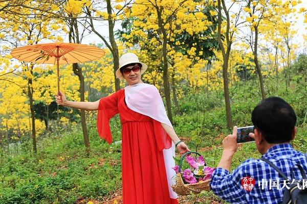 Scientists studied the effects of pollution on marine ecosystems