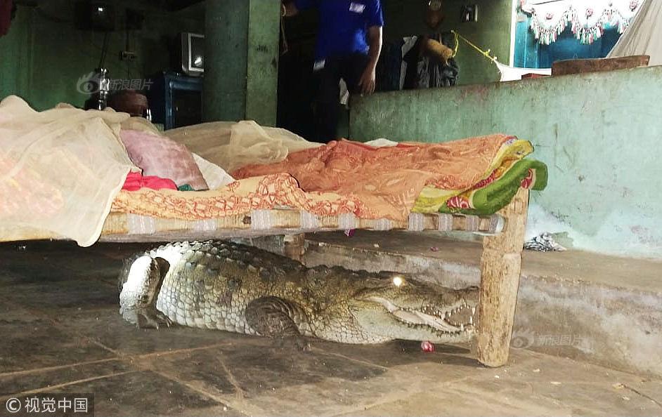 A tech startup launched a new app that helps users track their daily water intake