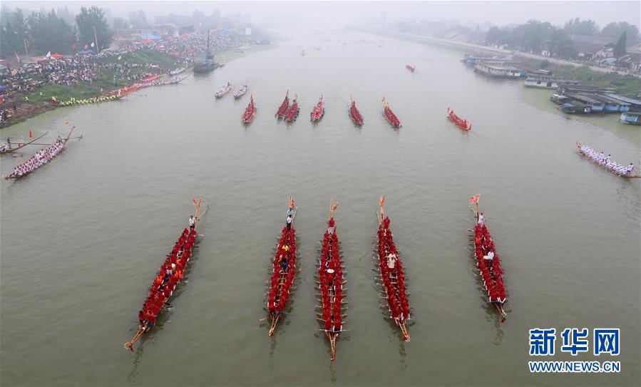 A study found that a plant-based diet can reduce the risk of type 2 diabetes by 34% compared to a meat-heavy diet