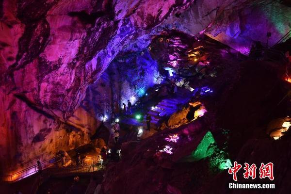 Researchers found that walking in forests for 20 minutes a day boosts immune system function