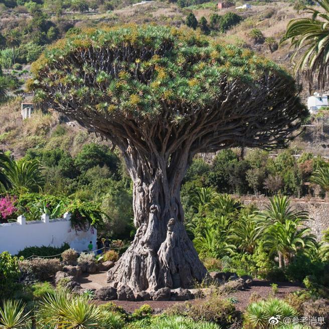 A gym started a weight loss challenge with prizes for participants who lose the most weight