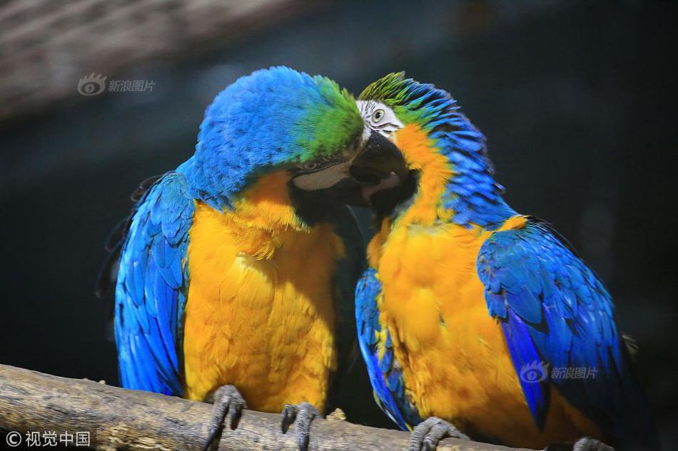 Researchers found that regular exercise can reduce the risk of heart disease in middle-aged adults