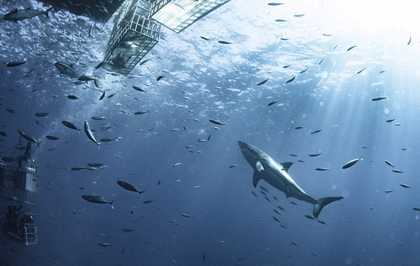 A major fashion show was held in the city showcasing the latest designs from top designers around the world