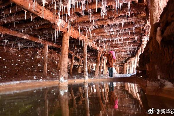 A famous actor starred in a new movie that premiered at an international festival