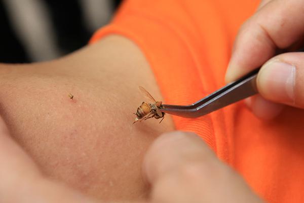 Scientists developed a new method to detect early signs of a common disease