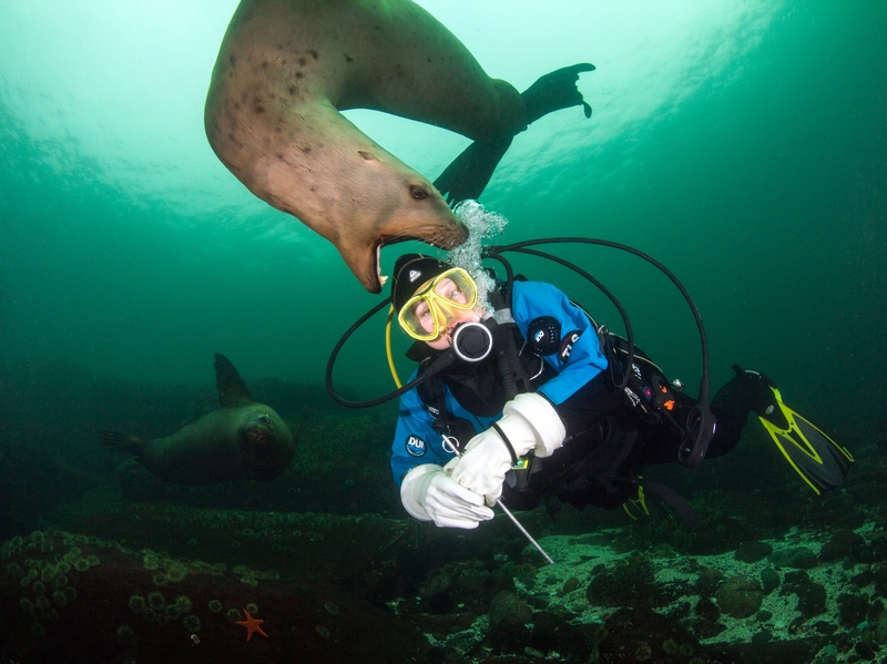 Local restaurants partnered with food delivery services to offer contactless delivery options