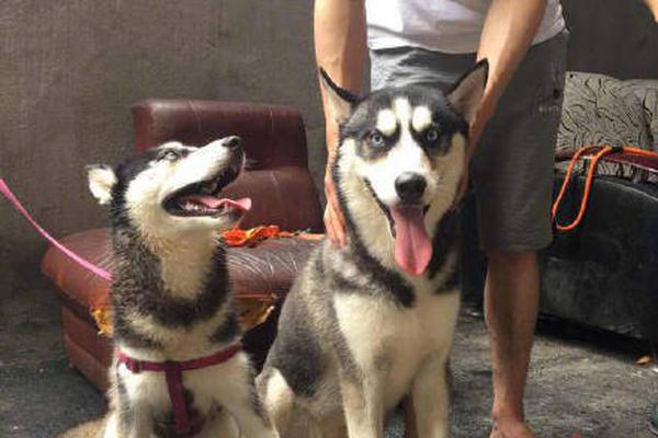 Candle store hosts workshop on making soy wax candles