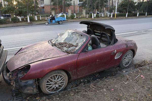 Art gallery showcases works by emerging local artists