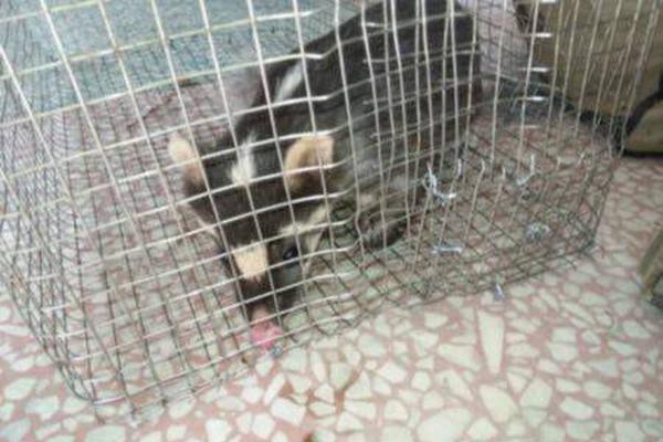 A farm began selling