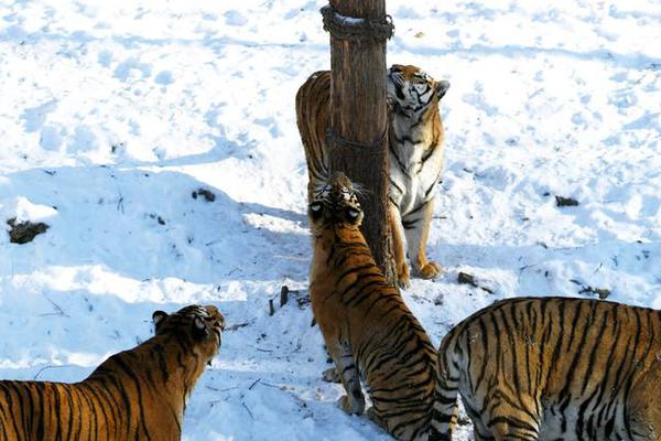 A fashion store donated unsold clothing to a nonprofit that helps homeless individuals