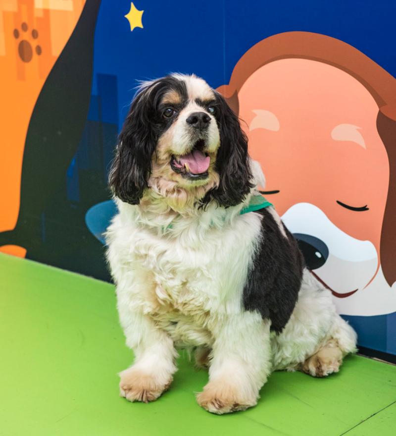 The school district decided to start classes 30 minutes later to help students get more sleep