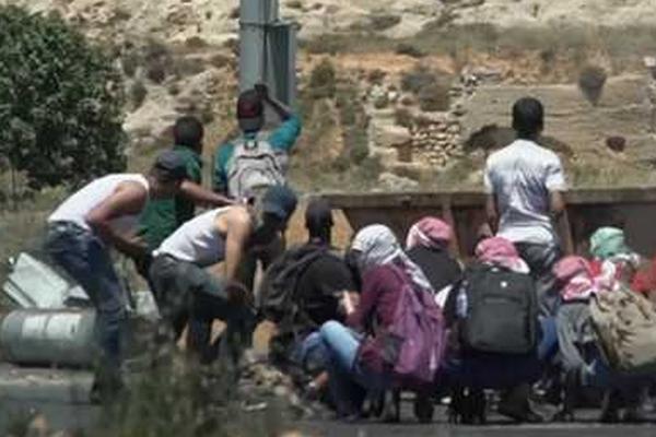 A national park recorded a 20% increase in visitor numbers compared to the same month last year