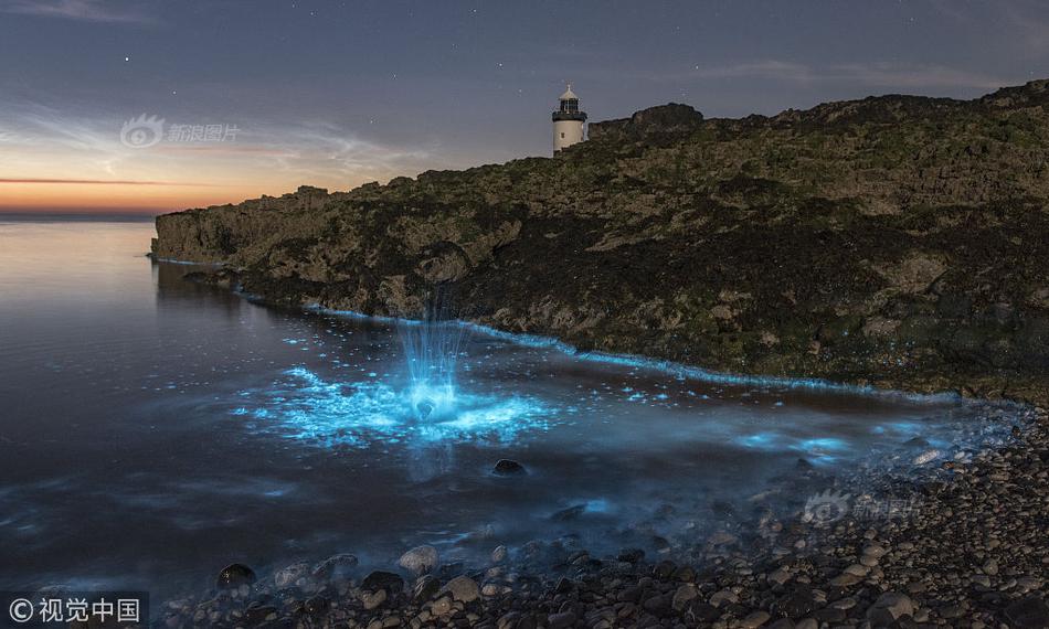 Researchers found that regular consumption of green tea may reduce the risk of heart disease by up to 20%, according to a 10-year study.