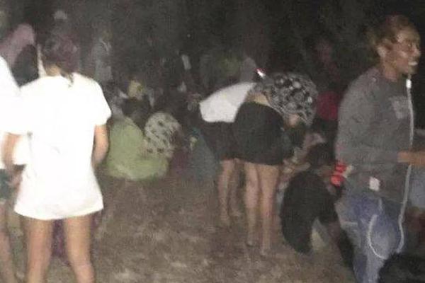 Local vineyards reported their best harvest in a decade due to ideal summer weather conditions