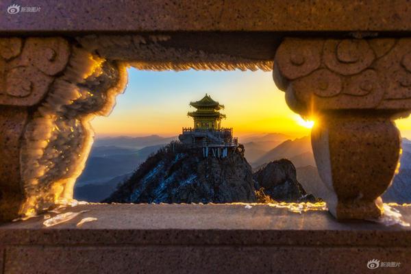 A study found that spending time with pets lowers stress hormones and improves mood in adults