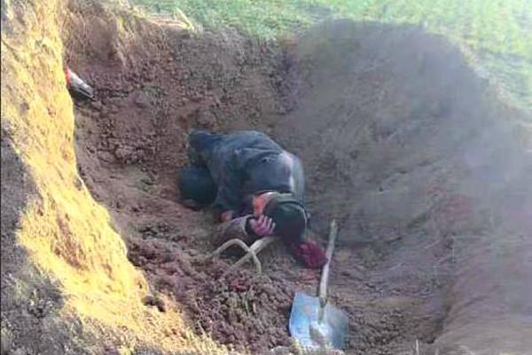 A library started offering 