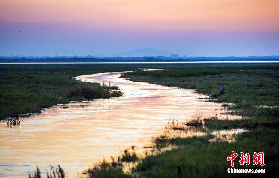 Scientists develop rapid test for detecting COVID-19 variants