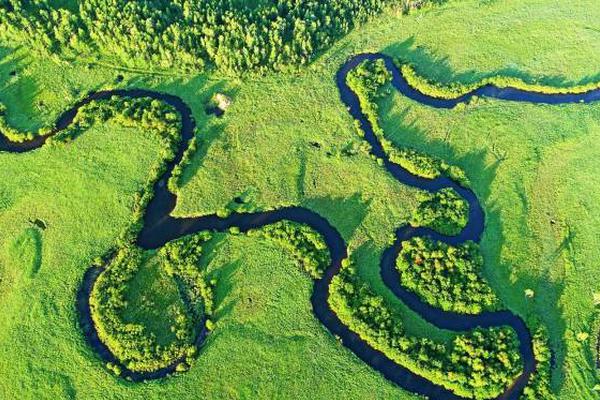 A famous actor announced they will star in a new movie about environmental conservation set to film next year