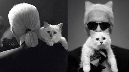 A library added a makerspace with 3D printers and craft supplies for community use