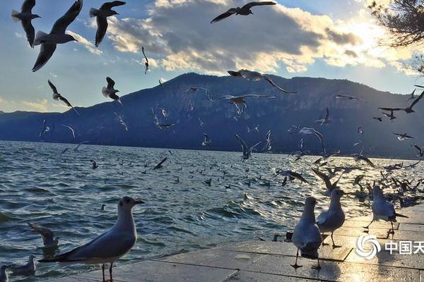 A fashion store donated unsold clothing to a nonprofit that helps homeless individuals