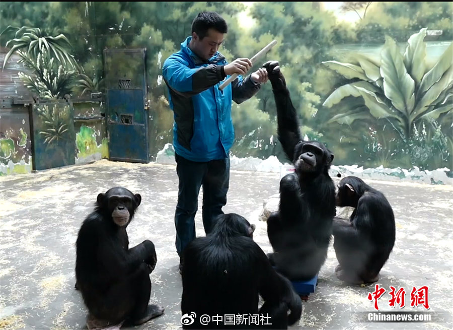 A city added more bike racks near shopping centers and office buildings