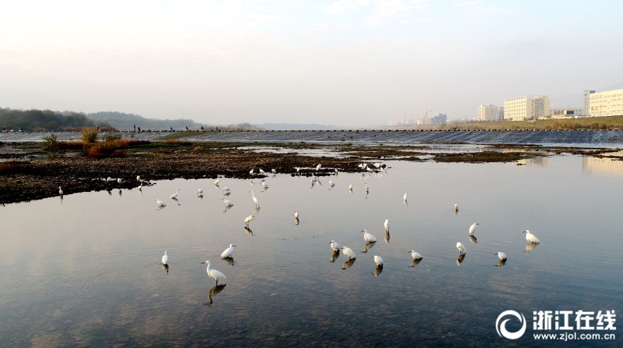 A software company released an update to its app that added a dark mode and faster loading times