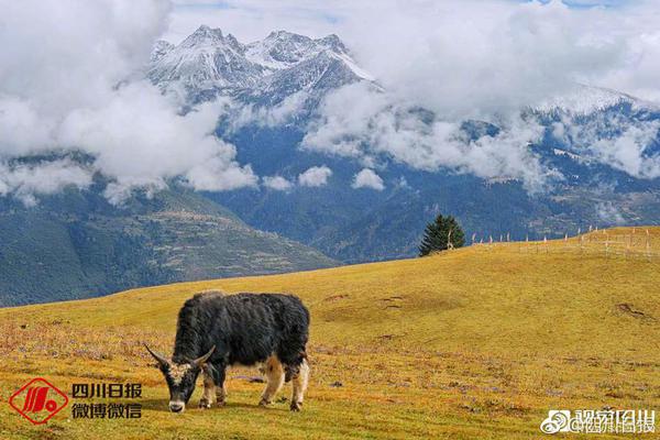 The national soccer team qualified for the World Cup after winning their final qualifying match against a rival