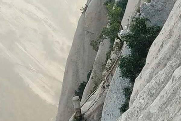 A charity organization started a program to provide free meals to elderly residents