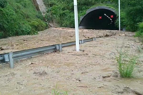 The government launched a program to help small businesses create online stores