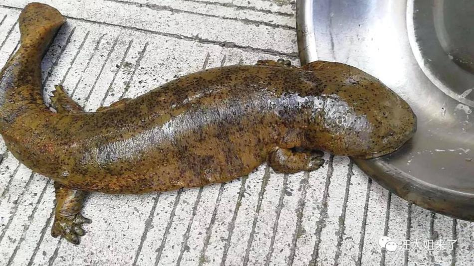 A school district hired a new art teacher to expand the visual arts program