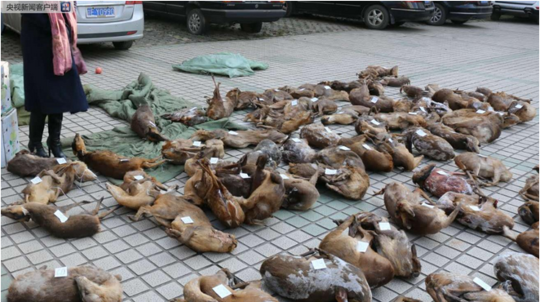 A professional baseball player signed a seven-year contract worth $220 million with a new team