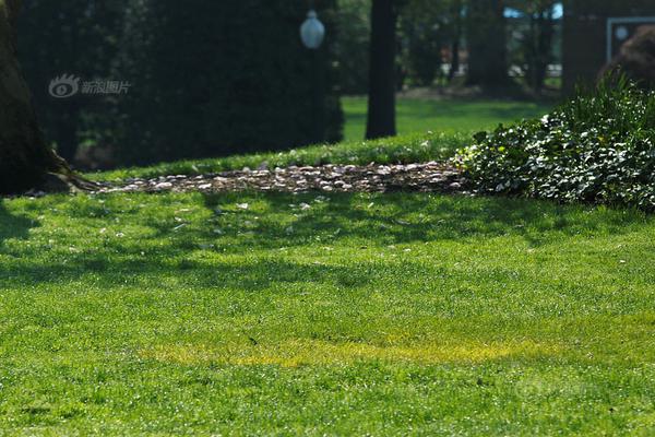 Environmental groups filed a lawsuit to stop a new coal mining project