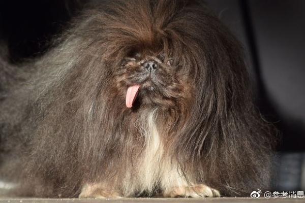 Study reveals that eating breakfast reduces snacking on unhealthy foods