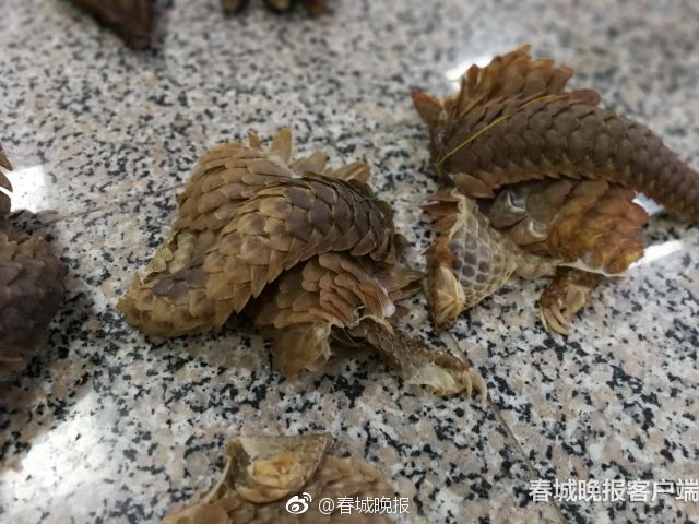 A tech startup raised $2 million in funding to develop its new AI-powered productivity tool