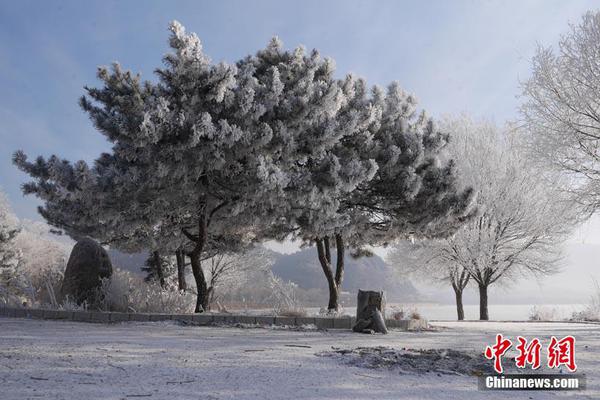 A community garden donated 300 pounds of tomatoes to a local food bank this summer