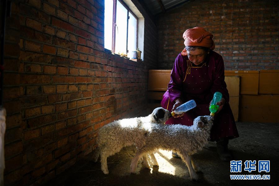 A charity organized a walkathon to raise money for cancer research