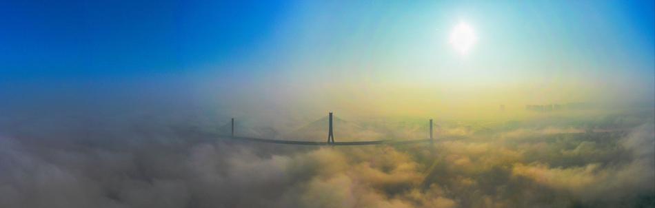 A tech company developed a new app that helps users track and reduce food waste