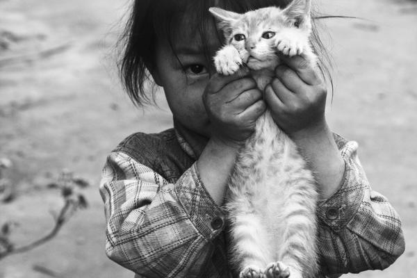 The community center offered free tutoring for students