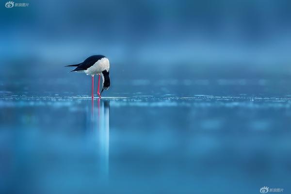 The city implemented a new program to collect and recycle food waste from households