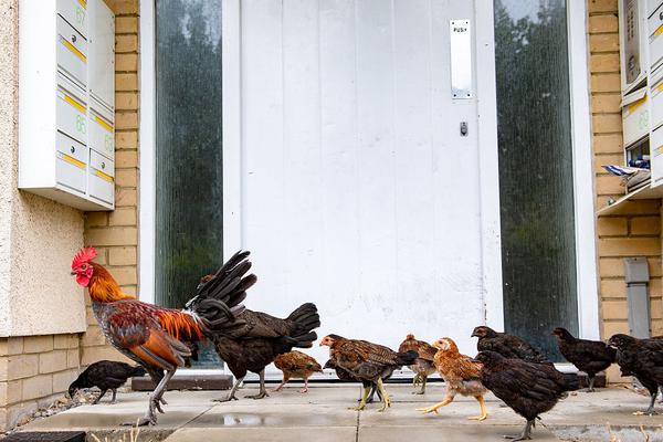 The community center hosted a job fair with local employers hiring for various positions