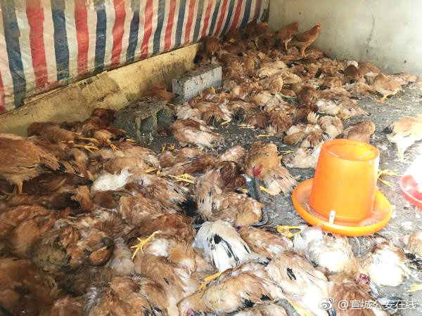 The city council voted to increase funding for public schools’ science programs