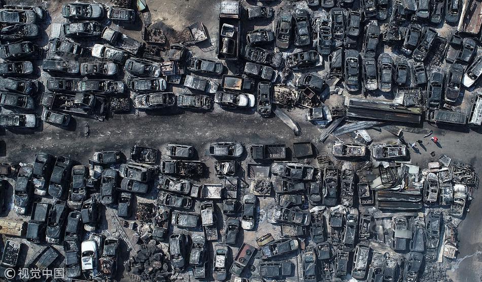 The government launched a program to provide free mental health counseling for veterans