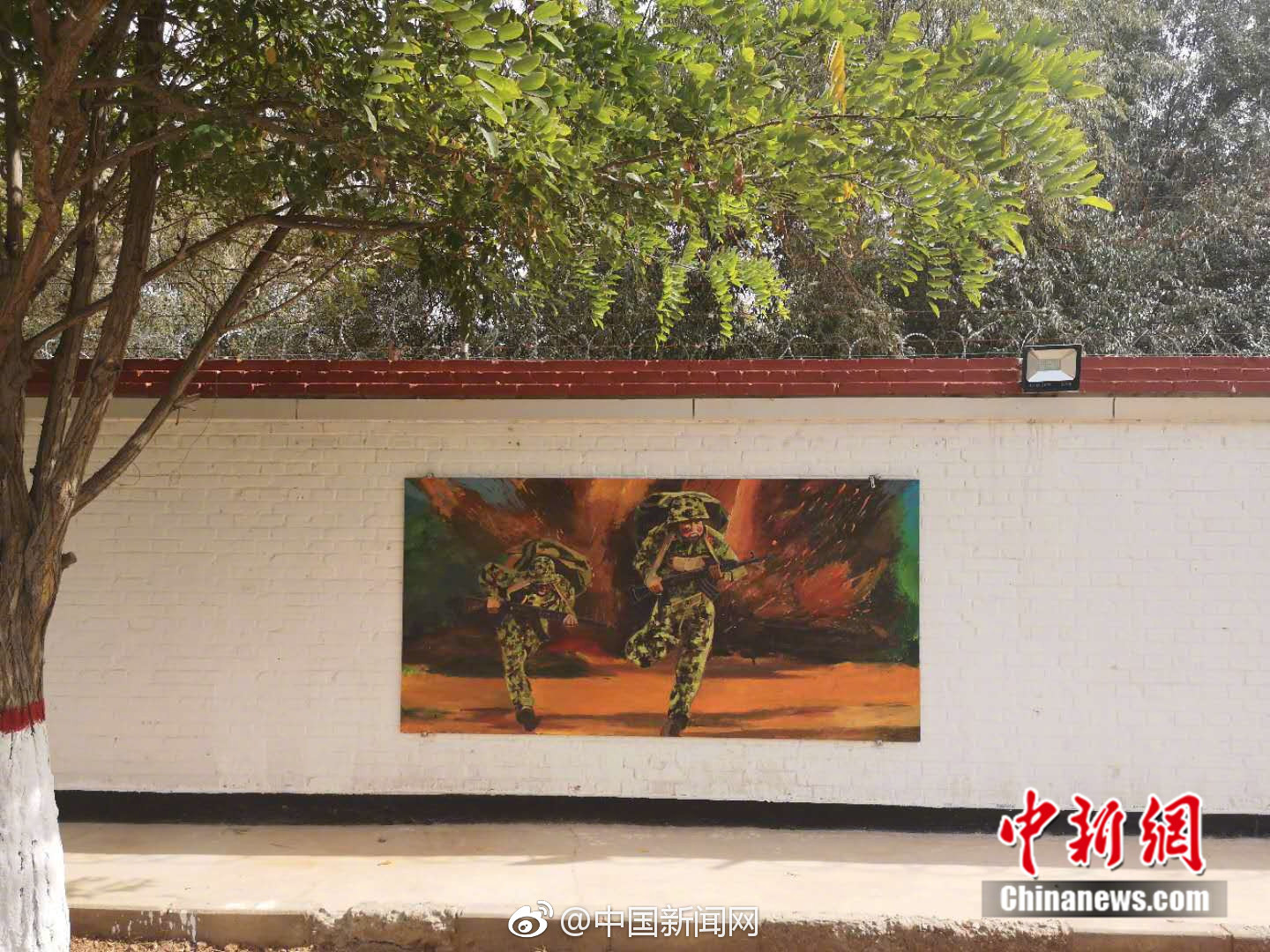 A survey found that 68% of consumers prioritize buying products from eco-friendly brands